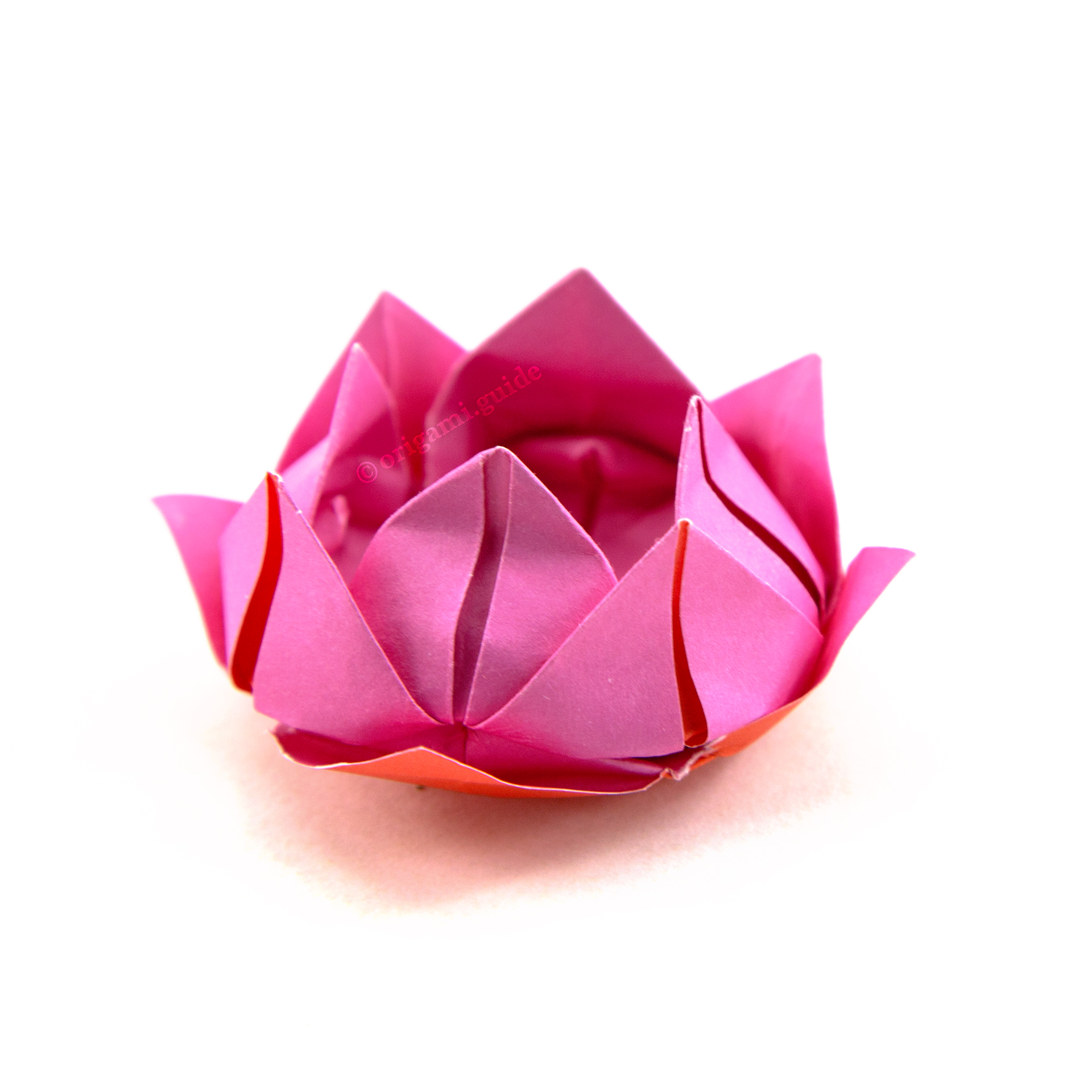 Оригами из лотос: Лотос оригами схема пошаговая инструкция