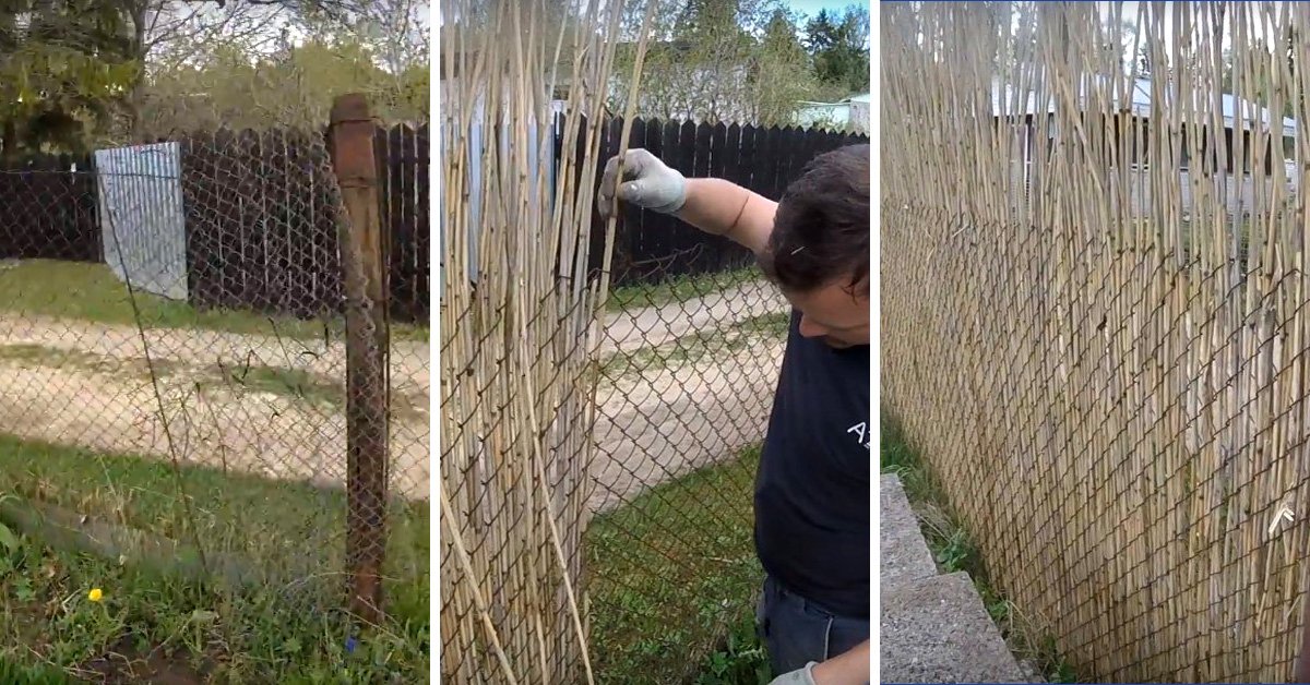 Как украсить забор из сетки рабицы фото своими руками: Как украсить забор из сетки-рабицы?