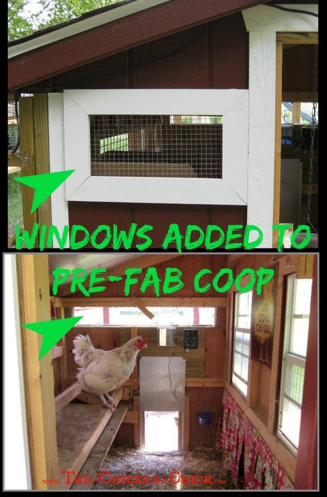 Placing windows on all four sides of the coop with open gables towards or air vents towards the top of the coop are best for maximizing air exchange, especially in cold weather.