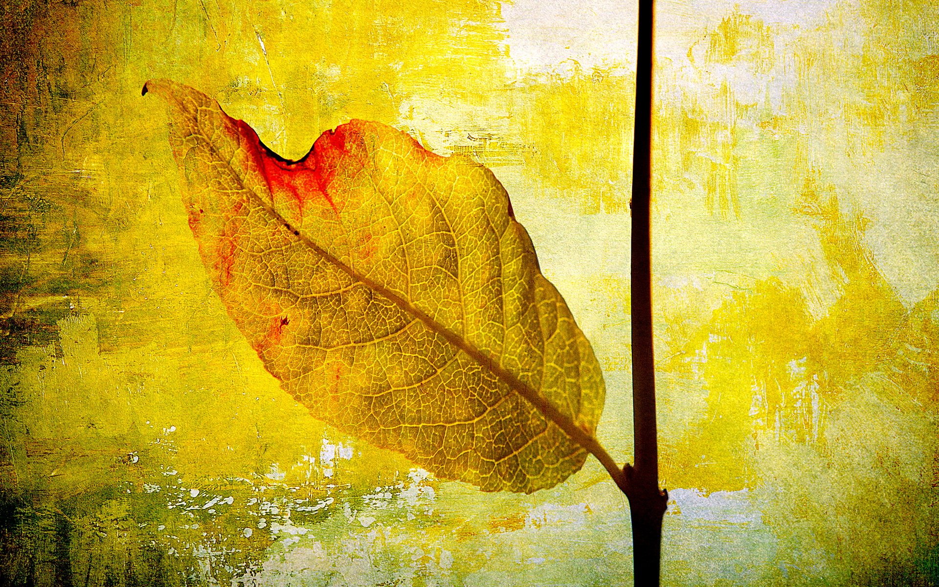 Рисунок опавшие листья: Как нарисовать опавшие осенние листья поэтапно 3 урока