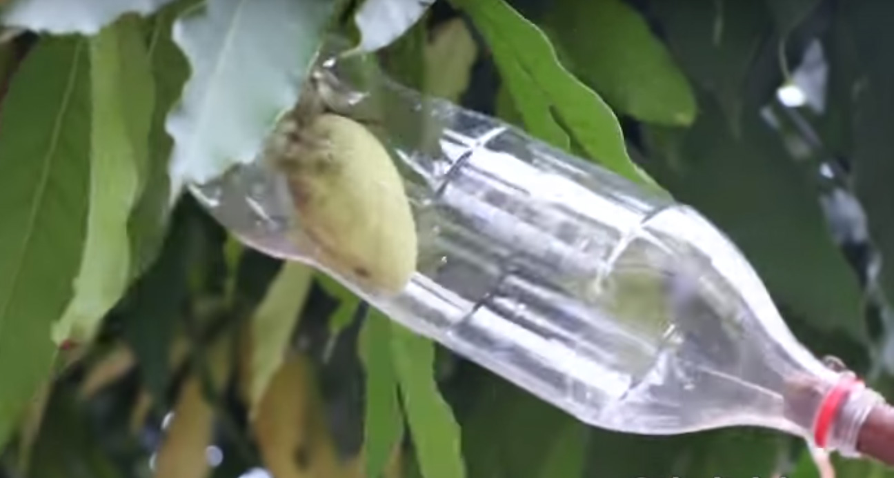 Что можно на даче сделать из пластиковых бутылок: 15 идей, как можно использовать пластиковые бутылки на даче