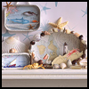 Ocean Shells Diorama
