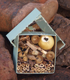 Bug house craft for kids 2