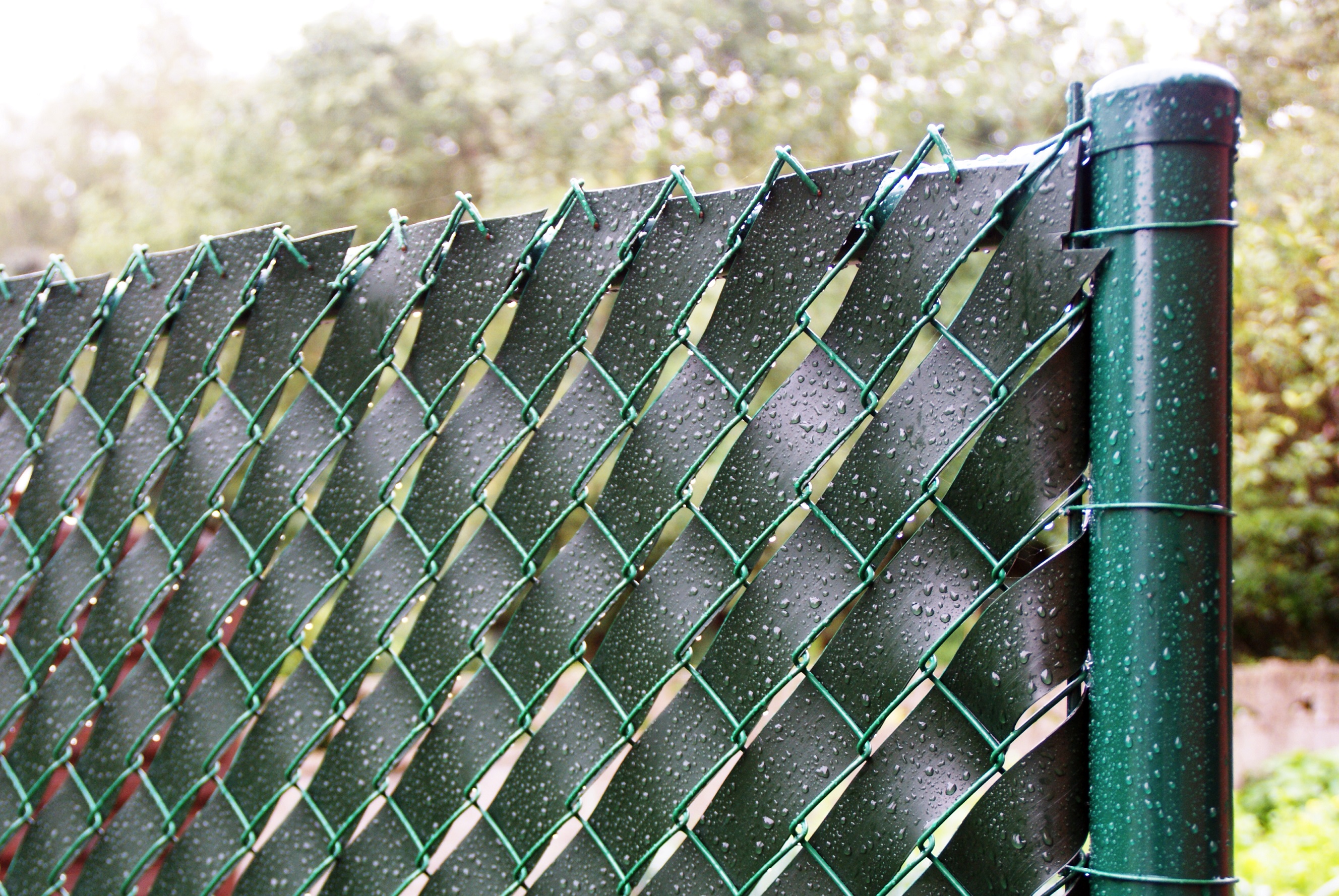 Забор из рабицы фото необычные: Забор из сетки-рабицы - 115 фото лучших конструкций и особенности их монтажа