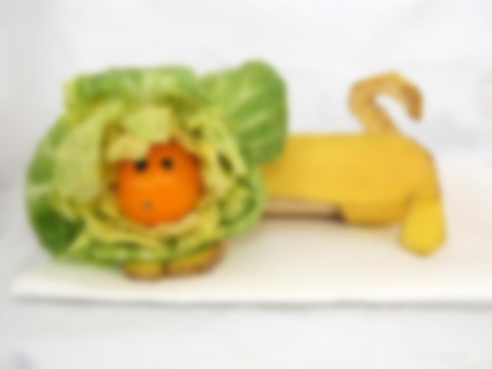 Поделки из цветной капусты своими руками фото для детского сада: простые пошаговые инструкции с фото и видео