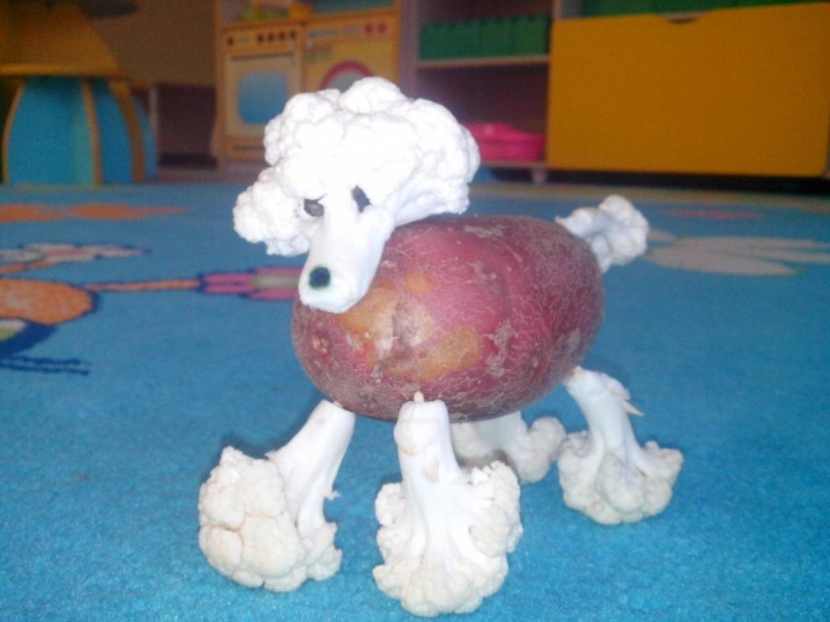Овечки из цветной капусты поделка пошагово: пудель и овечка в детский сад своими руками, поделка собаки. Осеннее дерево в школу на выставку