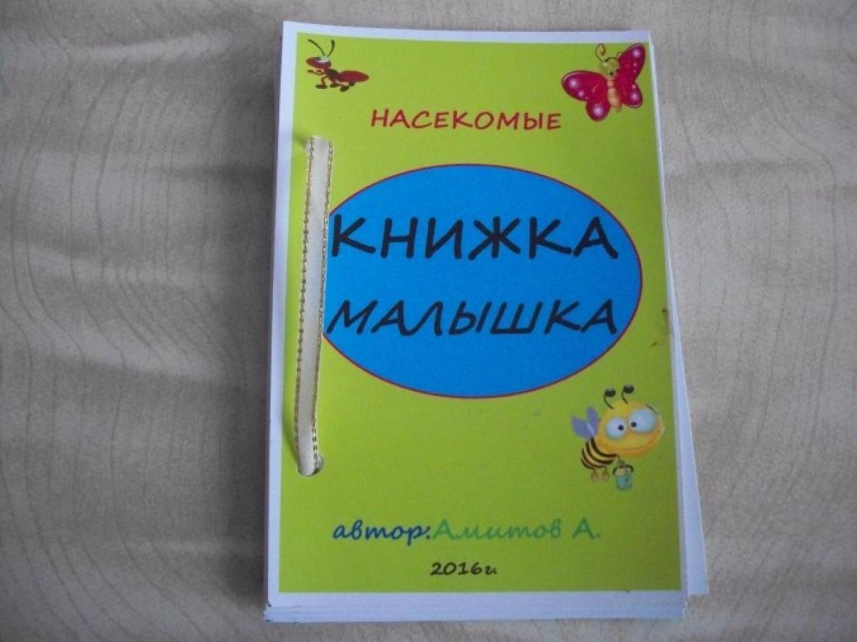 Оформление книжки малышки: Книжка-малышка своими руками для детского сада, школы: 📖 фото