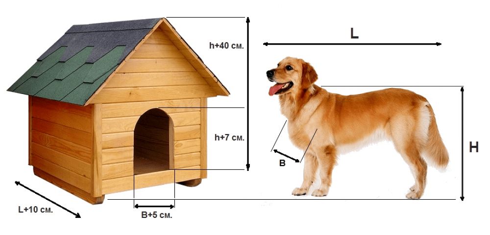 Построить конуру для собаки своими руками: 🐶 Как сделать будку для собаки своими руками: мастер-классы