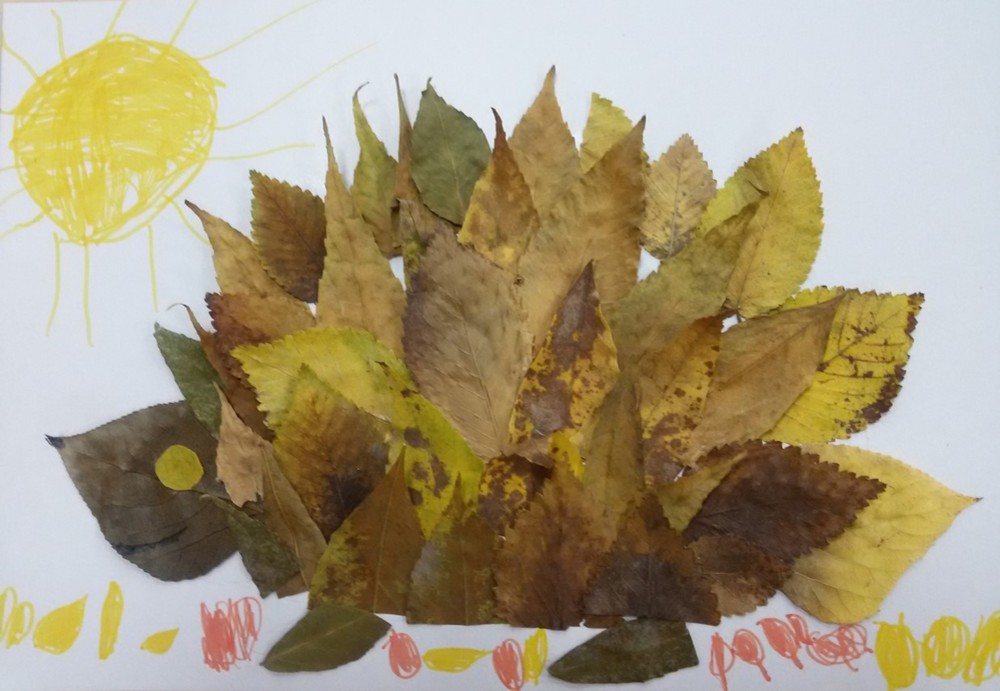 Ежик из сухих листьев для детей: Ежик из листьев на бумаге