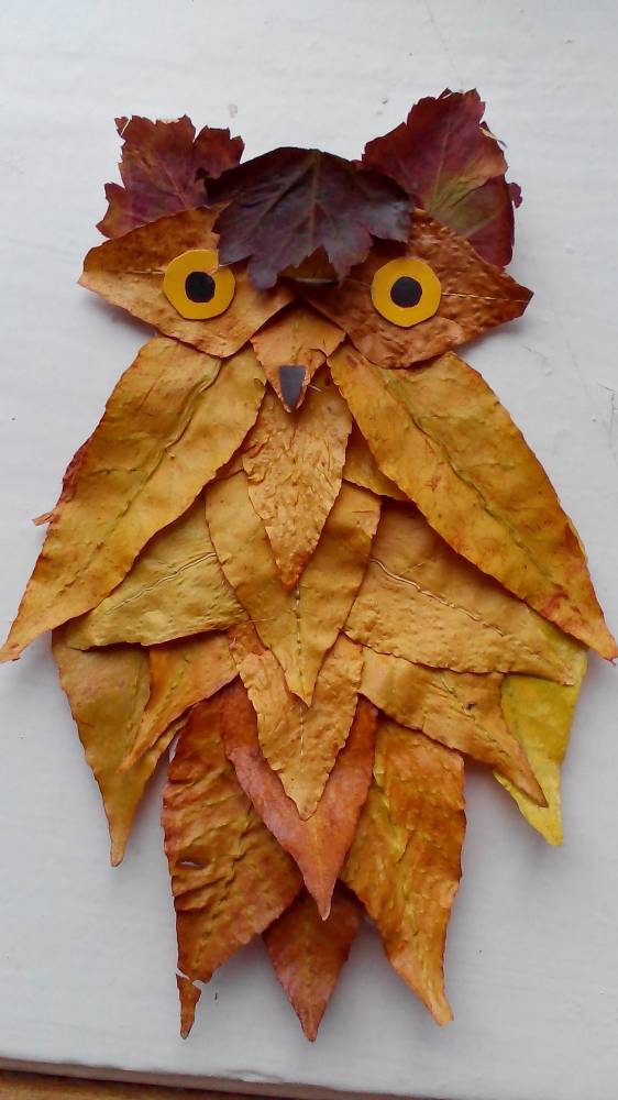 Поделки из листьев сова: Сова из природного материала своими руками: инструкции, мастер-класс