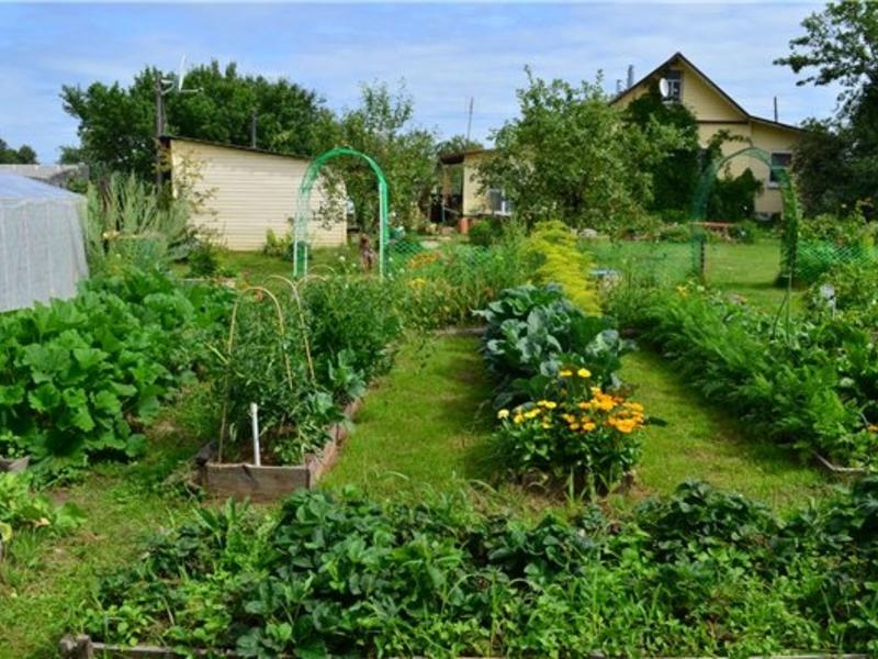 Фото дача огород: Красивый огород своими руками: оформление огорода на дачном и садовом участке — фото и идеи