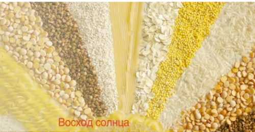 Аппликация из гороха – Аппликация из крупы и семян для детей: шаблоны, схемы выполнения