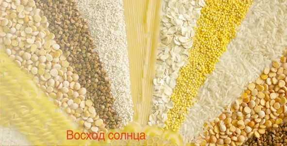 Аппликация из гороха – Аппликация из крупы и семян для детей: шаблоны, схемы выполнения