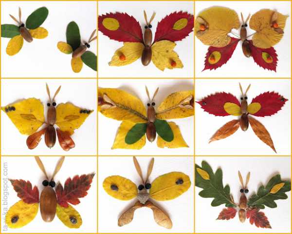 Бабочка из кленовых листьев – Бабочки из осенних листьев :: Это интересно!