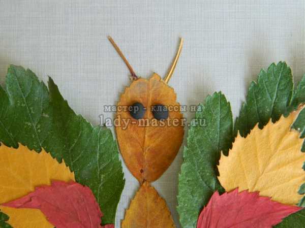 Бабочка из кленовых листьев – Бабочки из осенних листьев :: Это интересно!