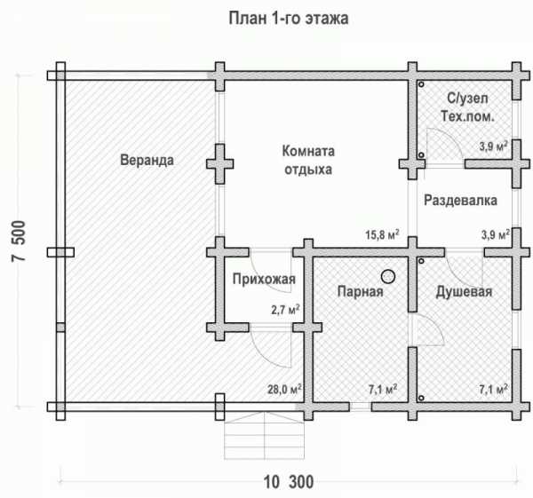 Баня шикарная – проекты, фото оригинальных современных идей интерьеров, стильные решения