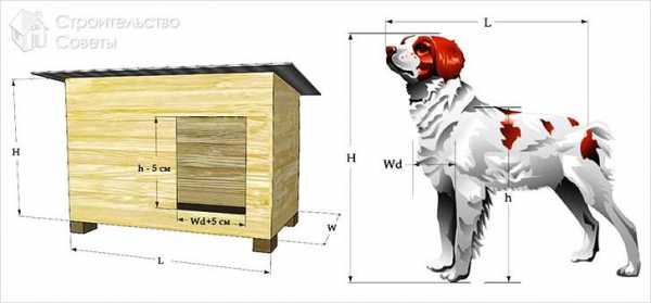 Будки для собак своими руками – Будка для Собаки Своими Руками: Чертежи, Размеры