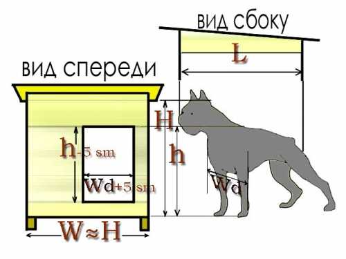 Чем обшить будку для собаки – Чем можно обшить буде собаке снаружи и внутри?