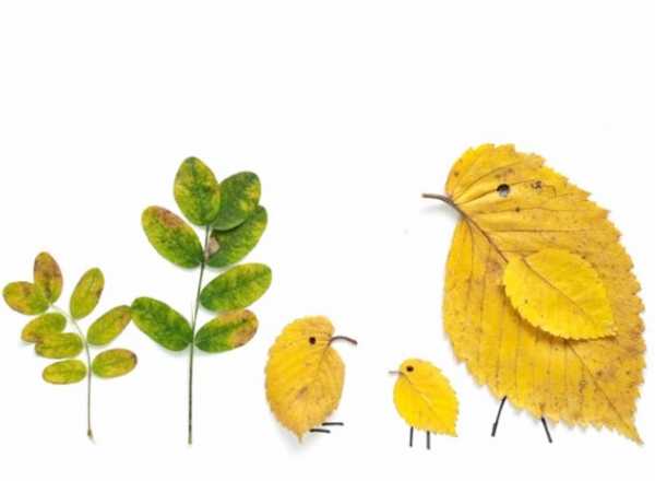 Что можно сделать из кленовых листьев с детьми – Поделки из кленовых листьев - Год 2019