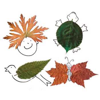 Что можно сделать из сухих листьев – 75 фото идей из осенних сухих листьев