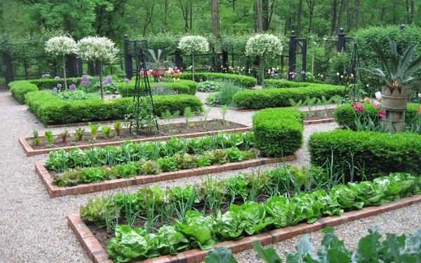 Декор для сада и огорода – Украшения для сада своими руками ✅️100+ лучших идей [2019]