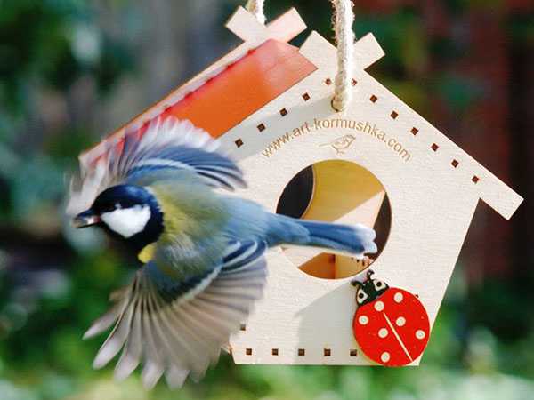 Делаем кормушку для птиц – Кормушки для птиц - изготавливаем самостоятельно 55 фото идей по дизайну