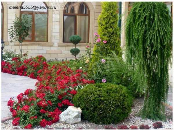 Дизайн цветника перед домом своими руками – Клумбы во дворе частного дома: фото и секреты оформления
