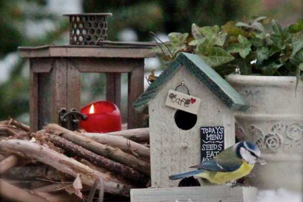 Дом для птиц – Каждой птице свой дом – Ярмарка Мастеров