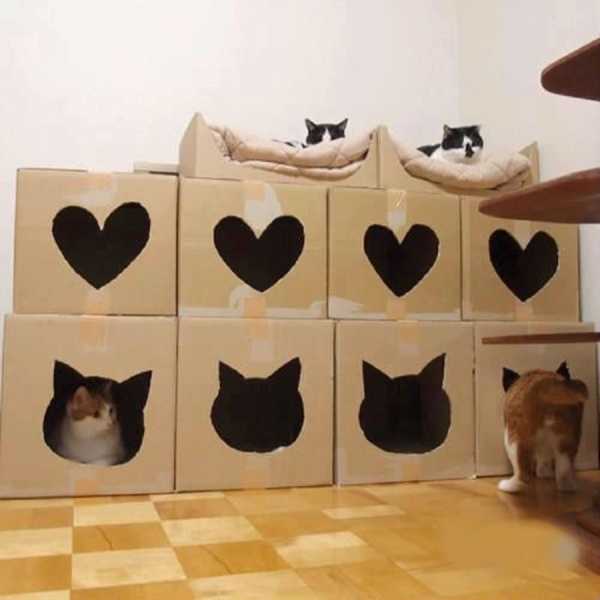 Домик для уличной кошки своими руками из коробки – из картонной коробки, футболки, поролона и фанеры
