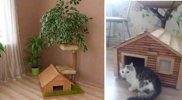 Домика для кота размеры – Домик для кошки или кота своими руками: конструкции, размеры, 72 фото