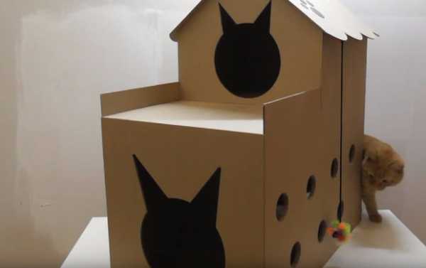 Домика для кота размеры – Домик для кошки или кота своими руками: конструкции, размеры, 72 фото