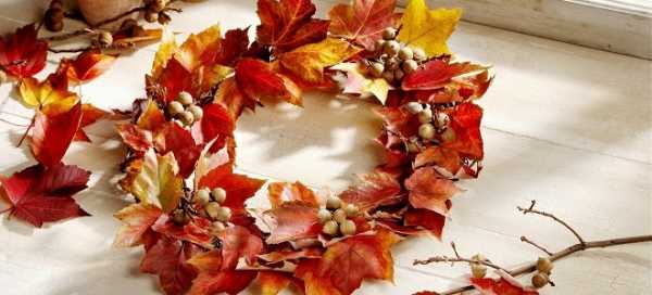 Ежик из листьев на тему осень своими руками – - . , - .