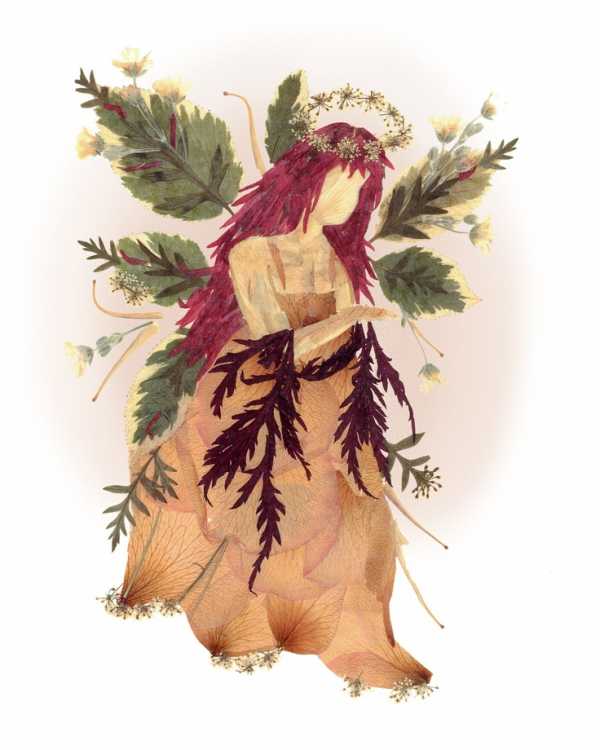 Гербарий из осенних листьев своими руками фото – Как сделать гербарий своими руками правильно