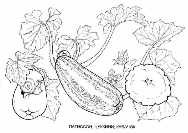 Груша поделка из бумаги – Объемная груша из бумаги пошагово