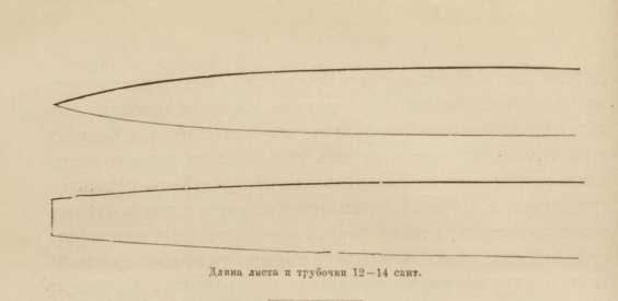 Искусственные большие цветы своими руками – Большие цветы из изолона своими руками: пошаговый мастер-класс, секреты мастеров. Примеры оформления торжеств ростовыми цветами.