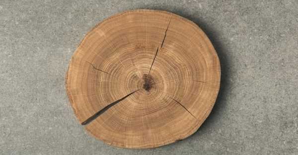 Из рук дерево – Изделия Из Дерева Своими Руками (Фото Для Дачи Чертежи)