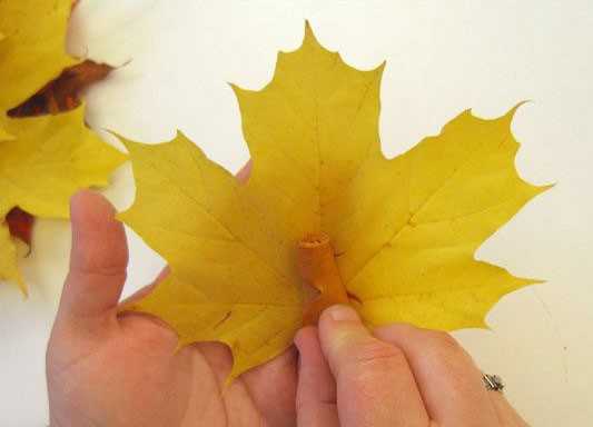 Как делать осенний букет из листьев своими руками – Осенний букет из листьев своими руками с фото и видео