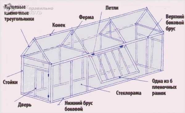 Как делать теплицу – Теплица своими руками: пошаговая инструкция