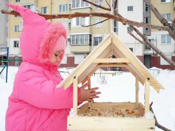 Как из бумаги сделать кормушку для птиц – Кормушки для птиц своими руками: оригинальные идеи, фото, чертежи