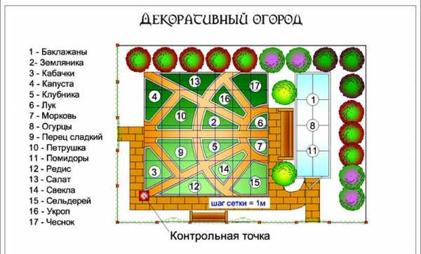 Как красиво расположить грядки на участке фото – 70+ идей грядок на даче ✅️Все, что нужно знать огороднику! (2019)