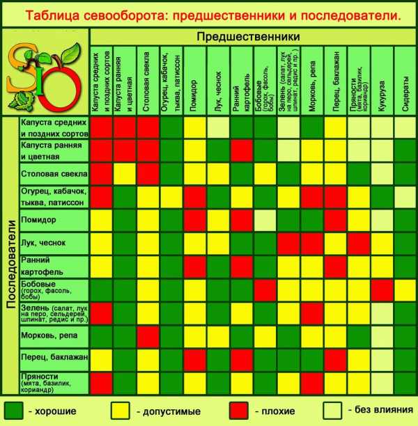 Как красиво расположить грядки на участке фото – 70+ идей грядок на даче ✅️Все, что нужно знать огороднику! (2019)