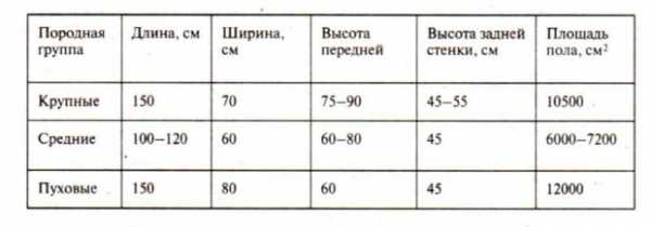 Как построить для кроликов клетки – Как построить клетку для кроликов