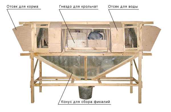 Как построить для кроликов клетки – Как построить клетку для кроликов