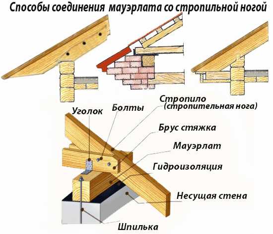 Как построить лучше баню – Из чего строить баню лучше