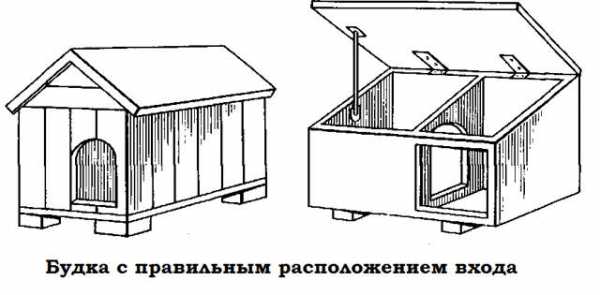 Как построить собаке будку своими руками пошагово с фото – Будка для Собаки Своими Руками: Чертежи, Размеры