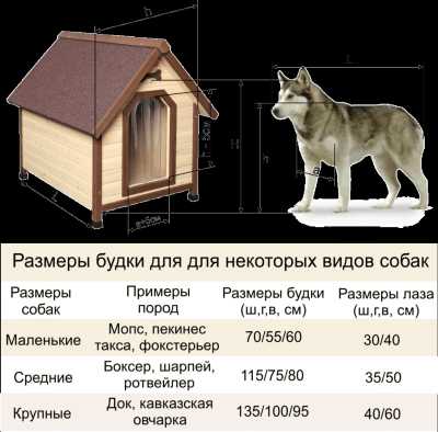 Как построить собаке будку своими руками пошагово с фото – Будка для Собаки Своими Руками: Чертежи, Размеры