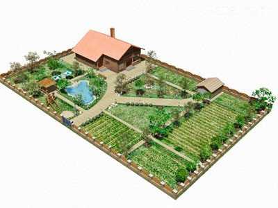 Как разделить огород и сад – 105 фото планирование и распределение участка