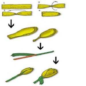 Как сделать цветы из крепированной бумаги своими руками – Различные цветы из креповой бумаги своими руками: мастер-класс и рекомендации