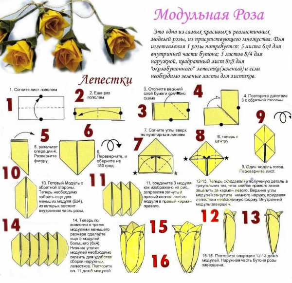 Как сделать из бумаги розу а4 – Простые розы из бумаги своими руками, 11 мастер-классов