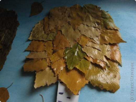 Как сделать коллаж из листьев – Как сделать коллаж из листьев и других природных материалов?